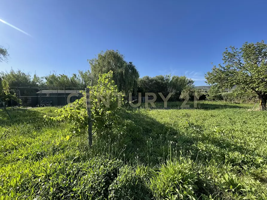Immagine 8 di Terreno agricolo in vendita  in Via di Cameretta a Orbetello