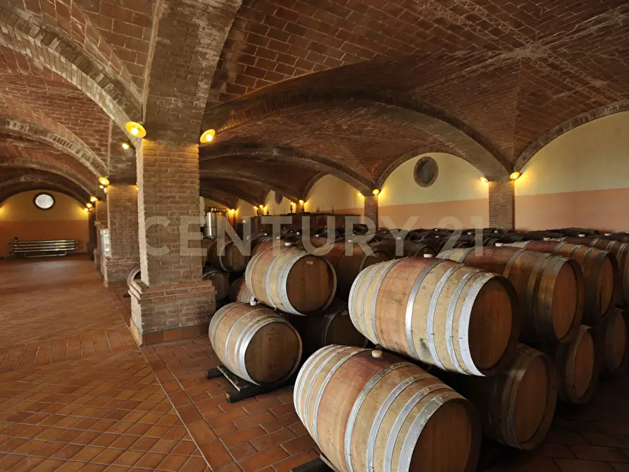 Immagine 55 di Villa in vendita  in Strada di Monte Bottigli a Grosseto