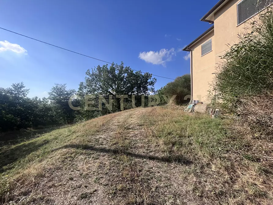 Immagine 8 di Azienda agricola in vendita  in Strada dei Sassi Bianchi a Manciano