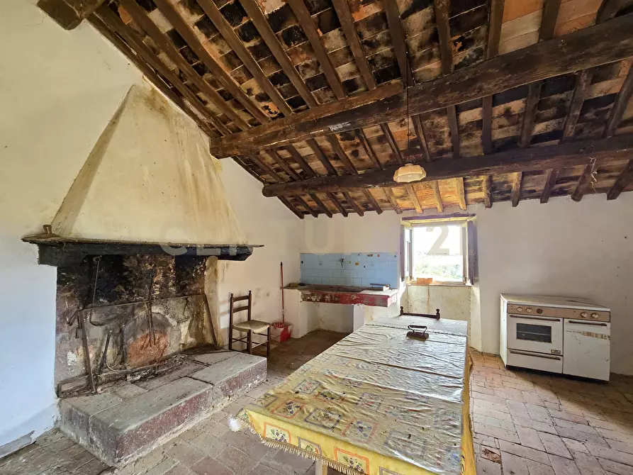 Immagine 11 di Rustico / casale in vendita  in località mandorlaie a Scansano