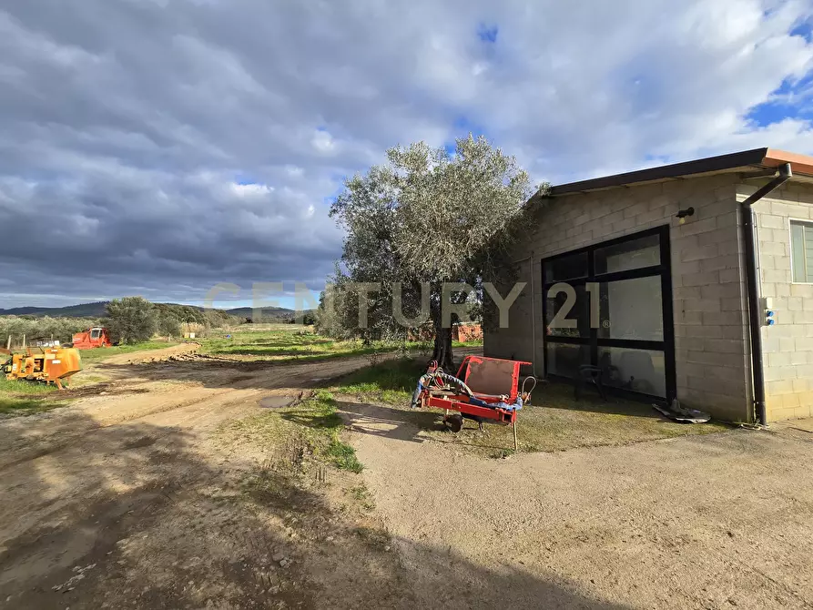 Immagine 6 di Rustico / casale in vendita  in Via di Lattaia a Roccastrada