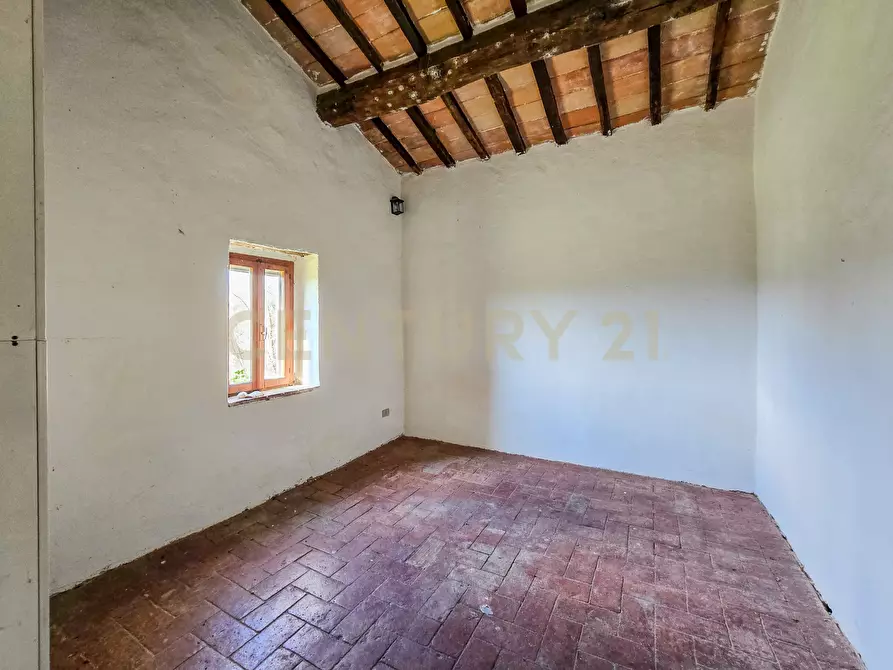 Immagine 33 di Rustico / casale in vendita  in Vial podere nuovo snc a Civitella Paganico