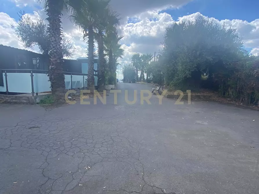 Immagine 3 di Pizzeria / Pub in vendita  in Via Alcide de Gasperi 110 a Mascalucia