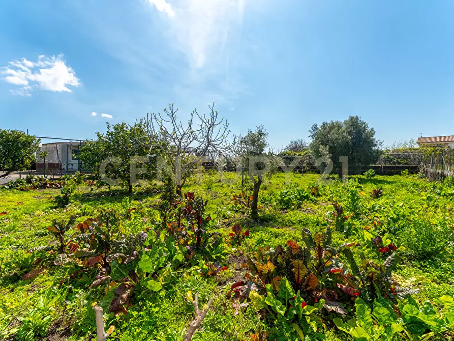 Immagine 12 di Villa in vendita  in Via Ramondetta 47 a Aci Sant'antonio