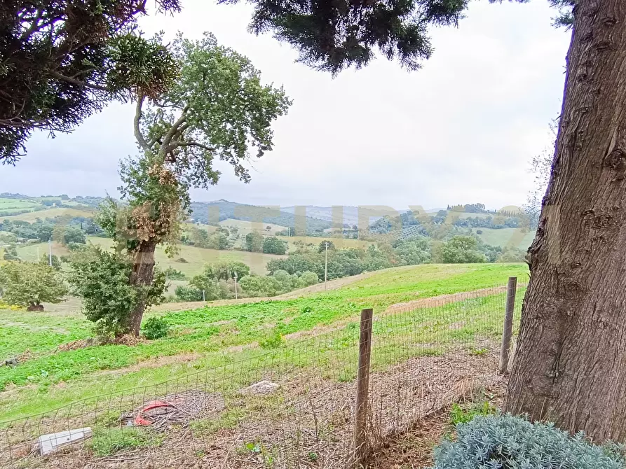 Immagine 4 di Casa indipendente in vendita  in località le croste snc a Manciano