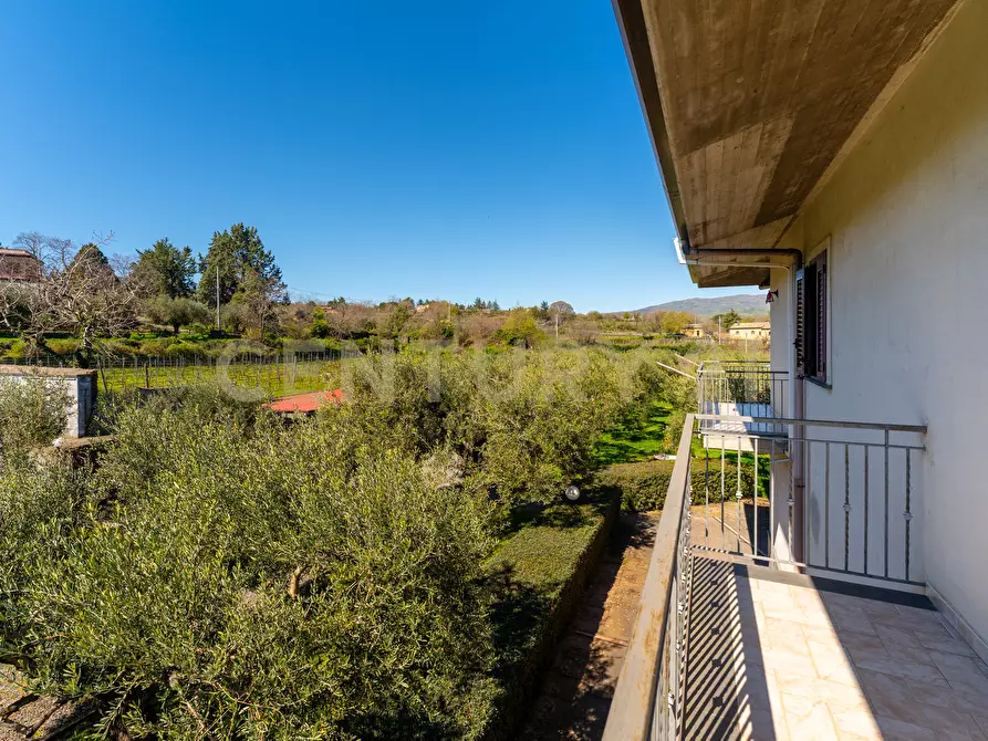 Immagine 45 di Villa in vendita  in Strada Comunale Calderara 5 a Randazzo
