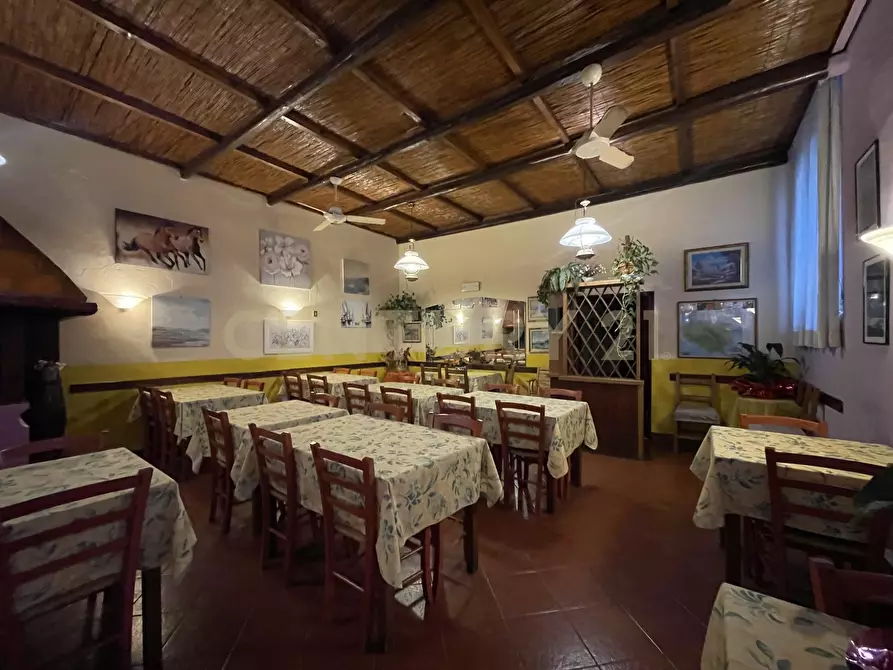 Immagine 11 di Bar / Ristorante in vendita  in Via Baschieri Salvadori a Monte Argentario