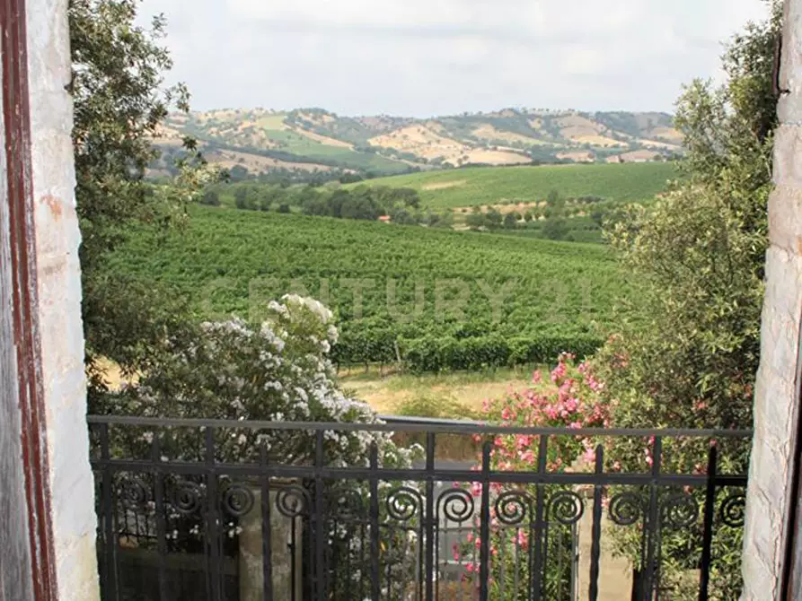 Immagine 10 di Rustico / casale in vendita  in Località Preselle sp 159 a Scansano