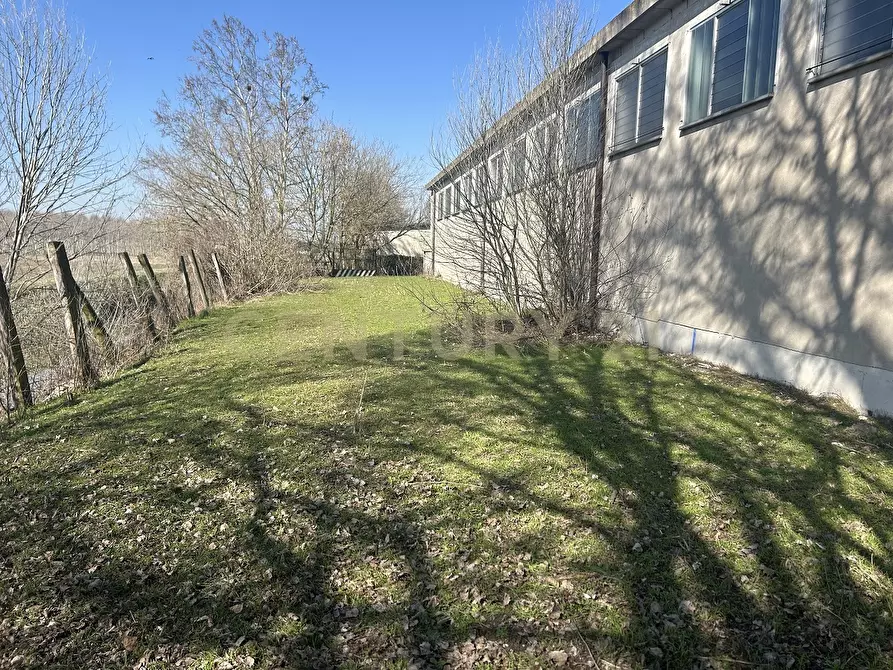 Immagine 17 di Attività artigianale in vendita  in Via San Pierino a Bovolone