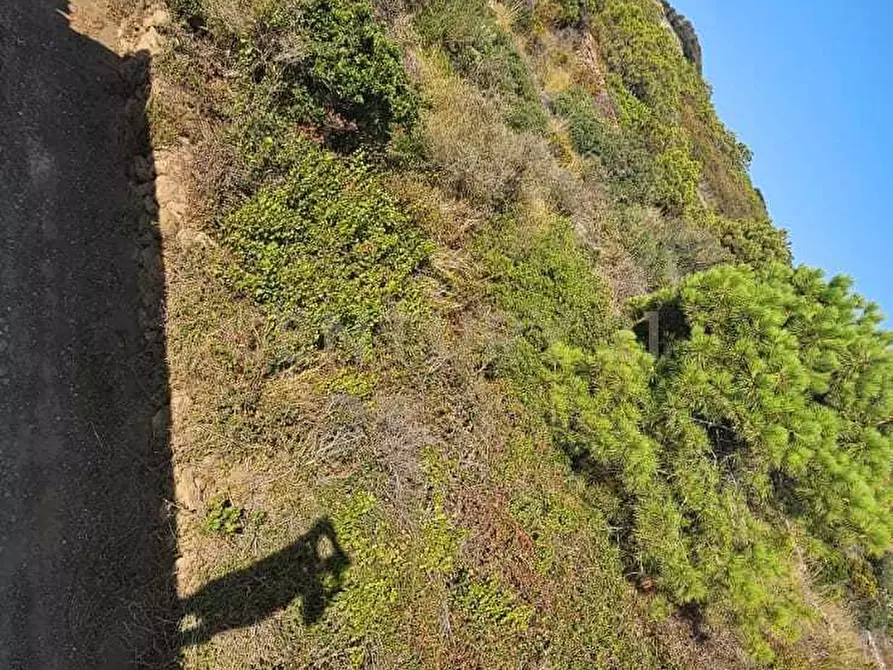 Immagine 20 di Casa indipendente in vendita  in Vicolo del Tufo 12 a Pantelleria