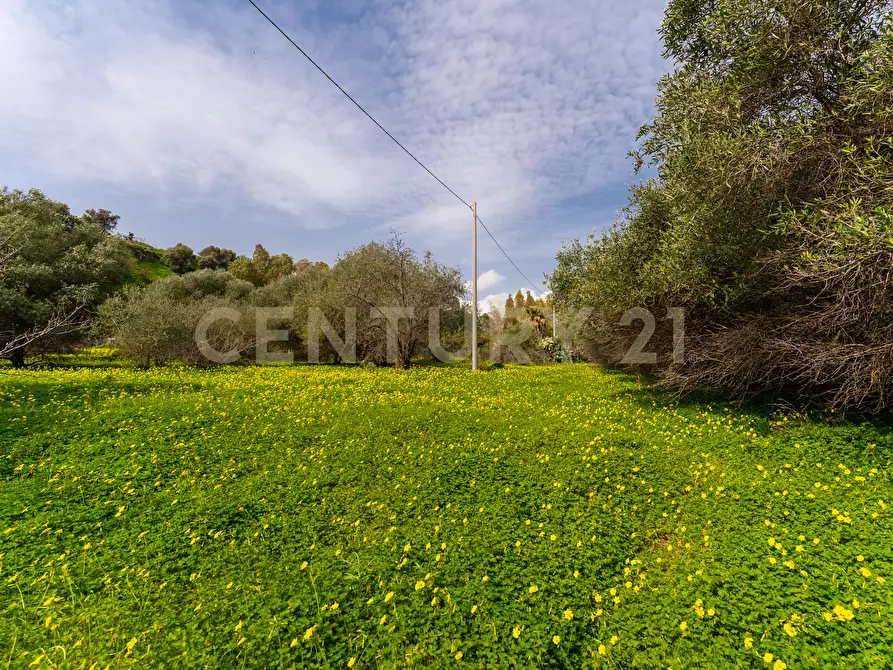 Immagine 10 di Terreno agricolo in vendita  in Contrada Vaccarizzo a Catania