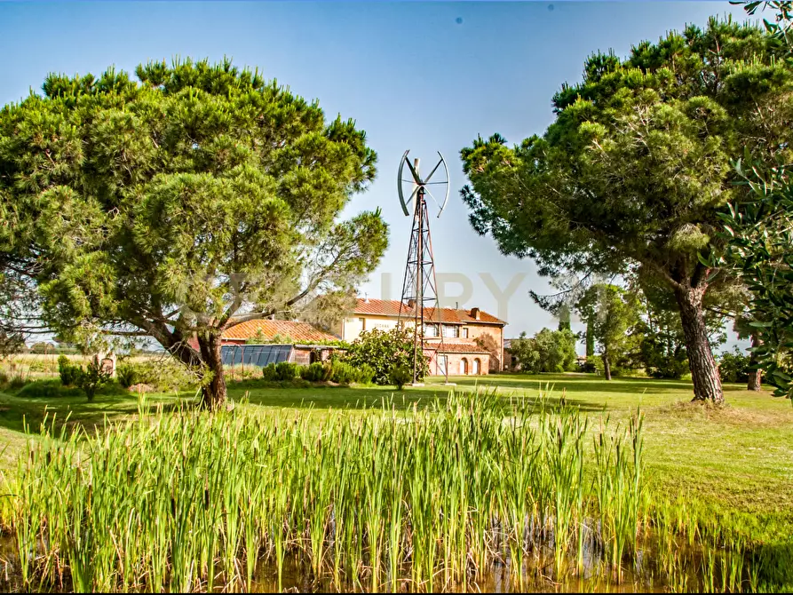 Immagine 47 di Rustico / casale in vendita  in località podere dogana a Roccastrada
