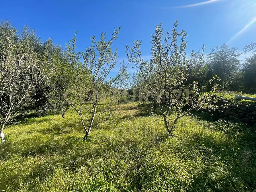Immagine 20 di Terreno agricolo in vendita  in contrada agnelleria a Belpasso