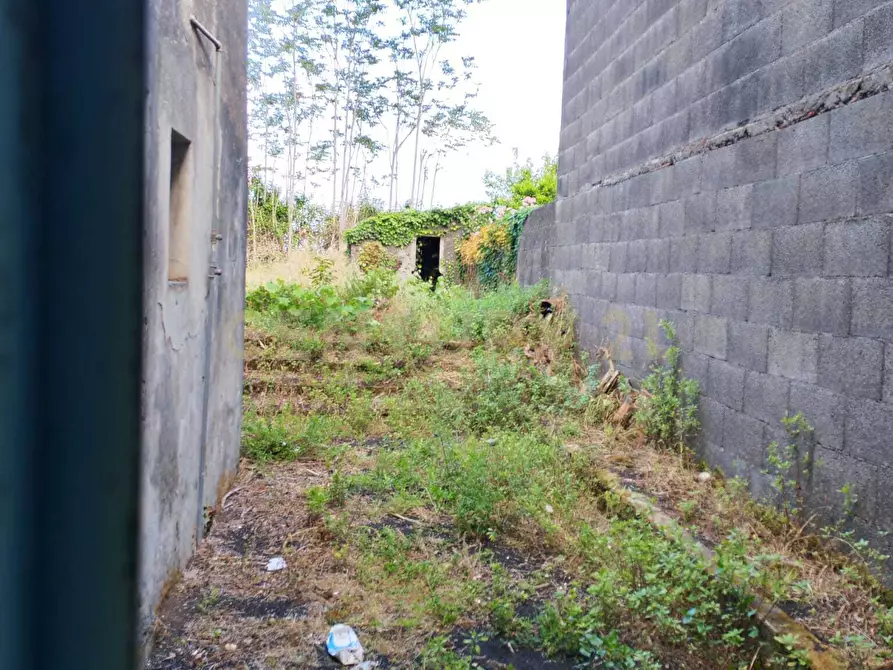 Immagine 21 di Casa indipendente in vendita  in Via Armando Diaz 262 a Zafferana Etnea