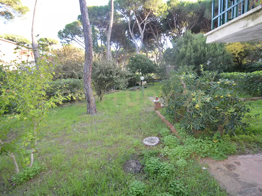 Immagine 6 di Casa trifamiliare in vendita  in Via Murene 35 a Grosseto