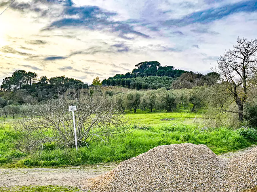 Immagine 5 di Terratetto in vendita  in Strada Interpoderale delle Baracche 5 a Civitella Paganico