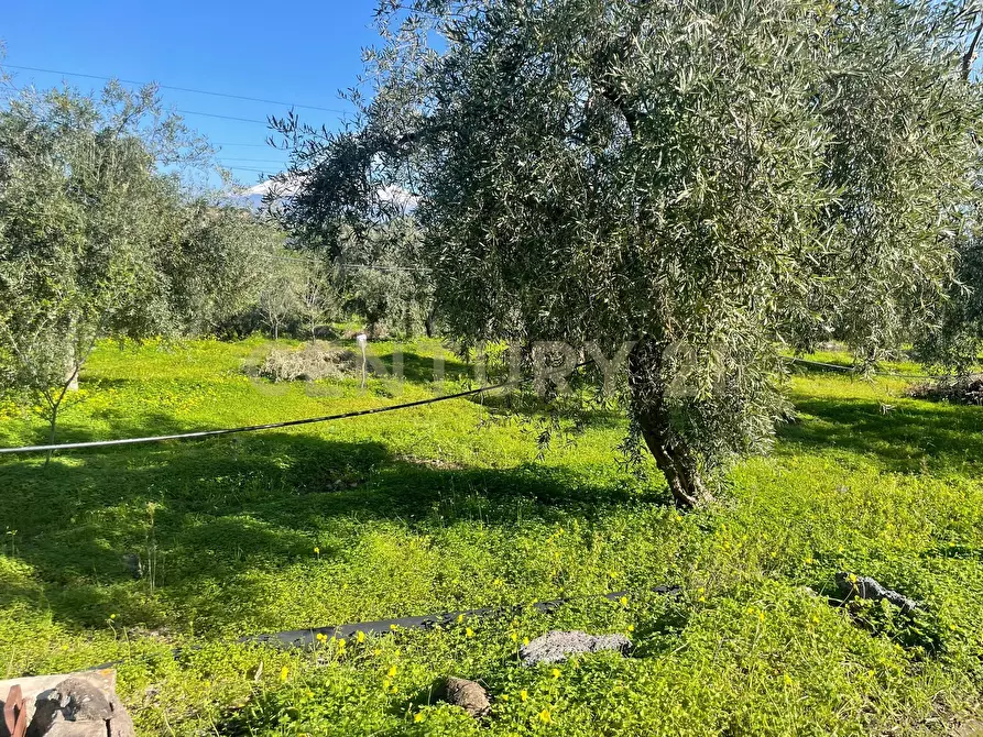 Immagine 13 di Terreno agricolo in vendita  in contrada agnelleria a Belpasso