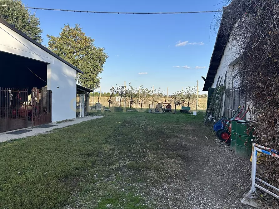 Immagine 40 di Rustico / casale in vendita  in Via Trento 70 a Minerbe