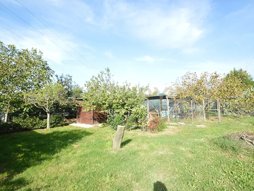 Immagine 25 di Terreno agricolo in vendita  in Via Alberto Sordi 12 a Grosseto