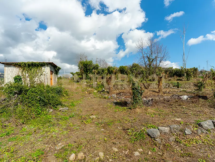 Immagine 8 di Terreno agricolo in vendita  in via giuseppe zinghirino 1 a Giarre