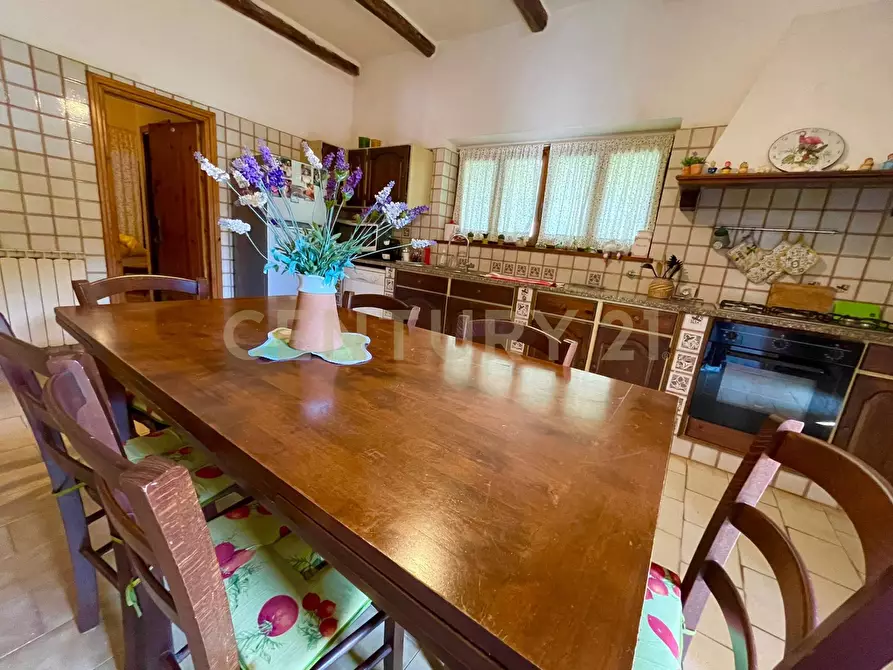 Immagine 21 di Rustico / casale in vendita  in Strada Vicinale dei Pinalti 14 a Orbetello