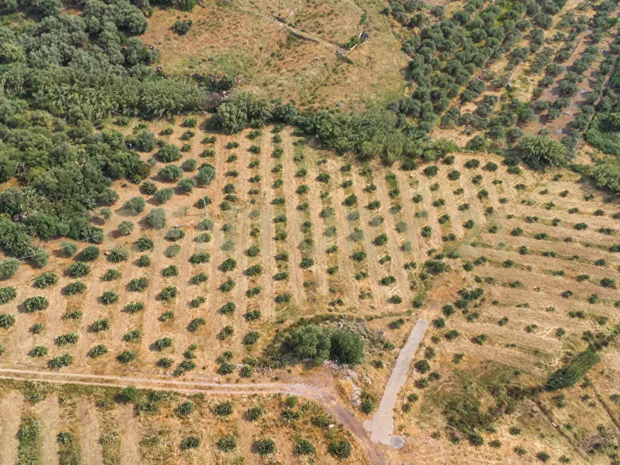 Immagine 27 di Terreno agricolo in vendita  in Via San Leo a Adrano