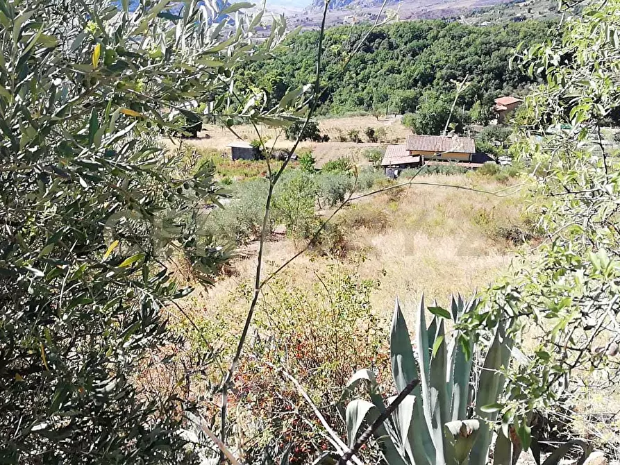 Immagine 6 di Terreno agricolo in vendita  in Contrada Saravulli San Mercurio snc a Piana Degli Albanesi