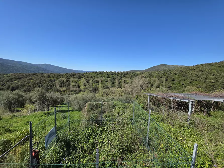 Immagine 35 di Rustico / casale in vendita  in località cesi a Gavorrano