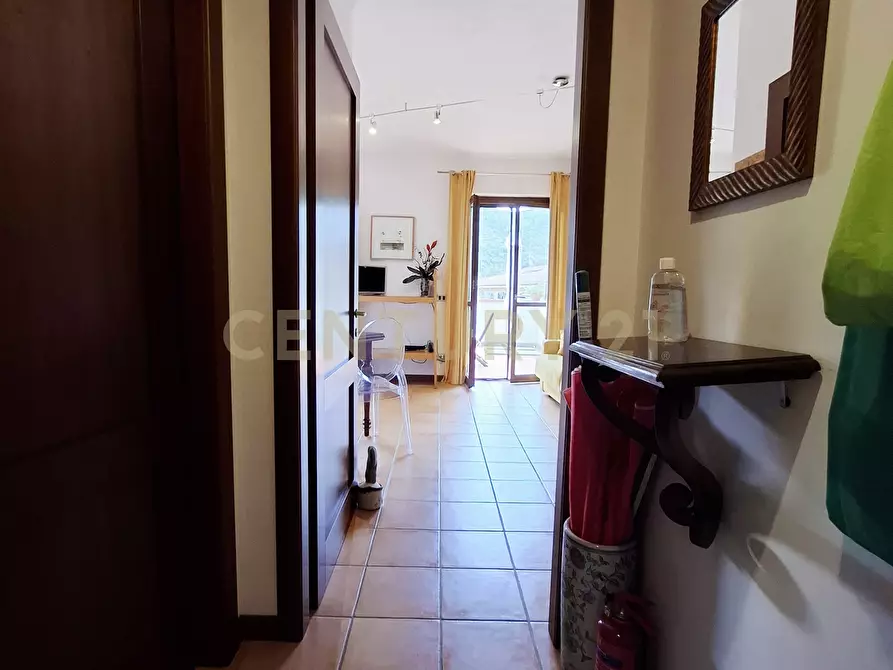 Immagine 28 di Monolocale in vendita  in Strada Vicinale del Grottino a Monte Argentario