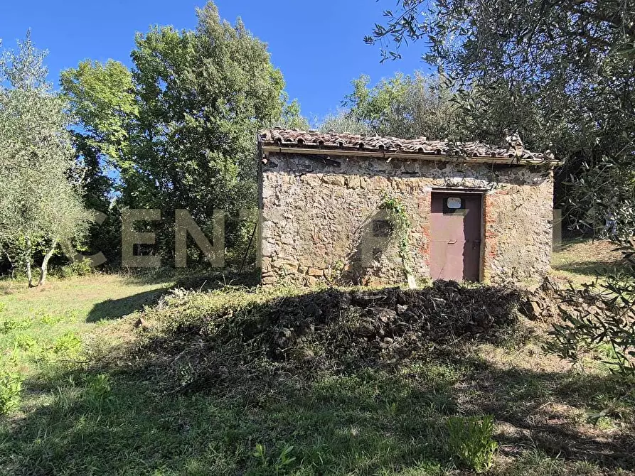 Immagine 2 di Rustico / casale in vendita  in Località Le Fonti a Civitella Paganico