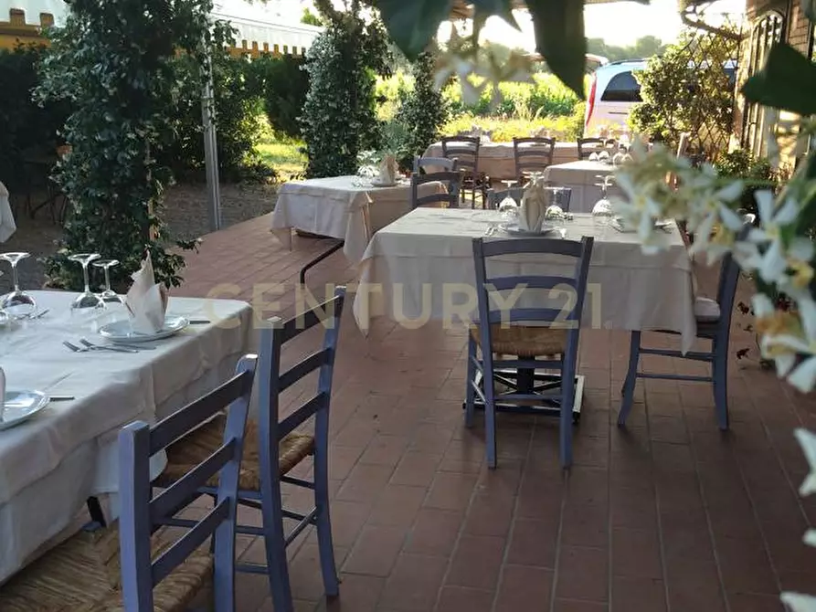 Immagine 22 di Rustico / casale in vendita  a Grosseto