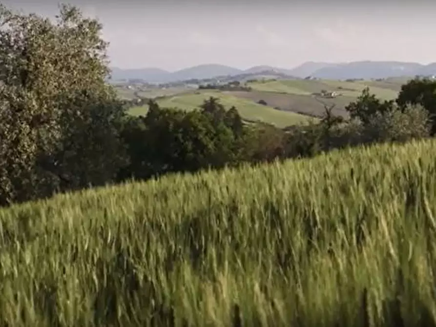 Immagine 20 di Rustico / casale in vendita  in CASTEL LEONE DI SUASA a Ostra Vetere