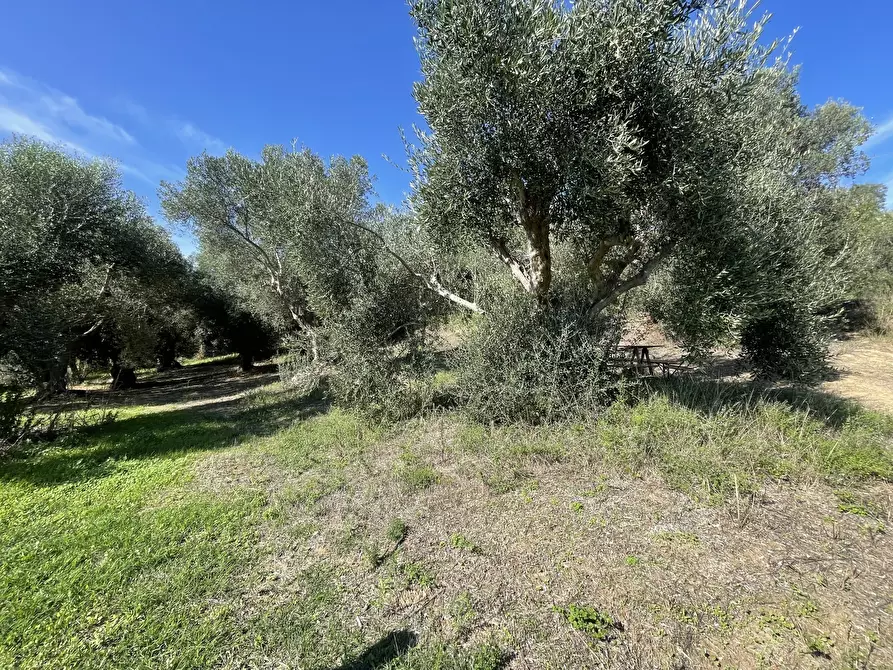 Immagine 8 di Rustico / casale in vendita  in via fontanelle a Porto Sant'elpidio