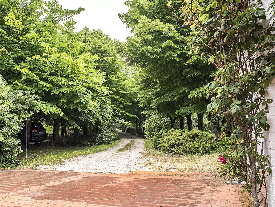 Immagine 52 di Rustico / casale in vendita  in OFFAGNA a Offagna