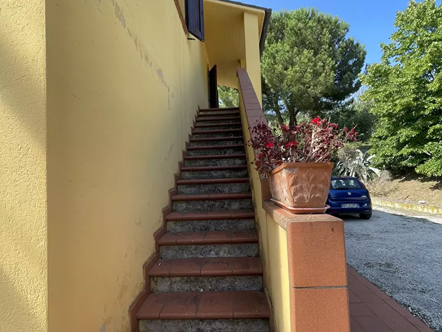 Immagine 4 di Rustico / casale in vendita  in offagna a Offagna