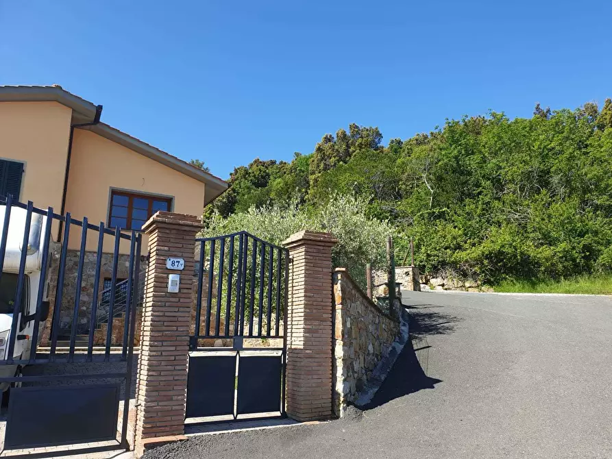 Immagine 4 di Villa in vendita  a Livorno