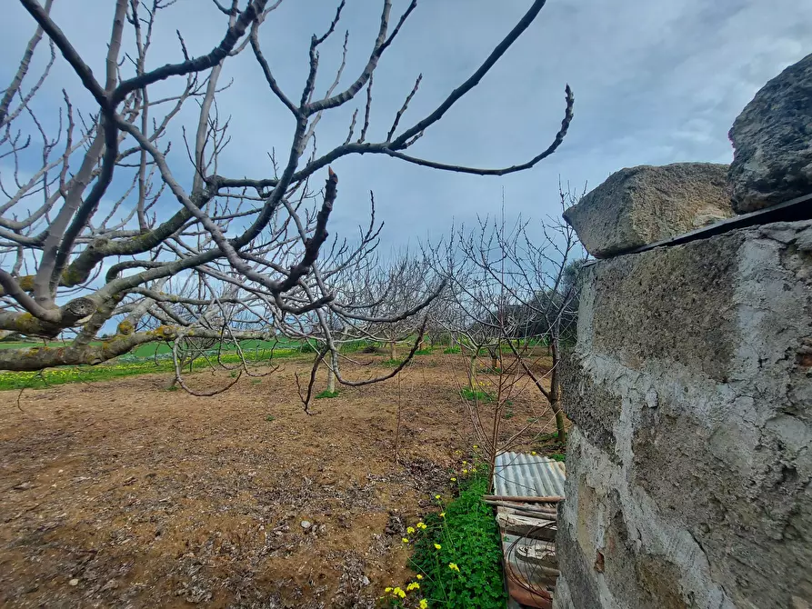 Immagine 25 di Rustico / casale in vendita  in Strada per Baccatani 26 a Brindisi