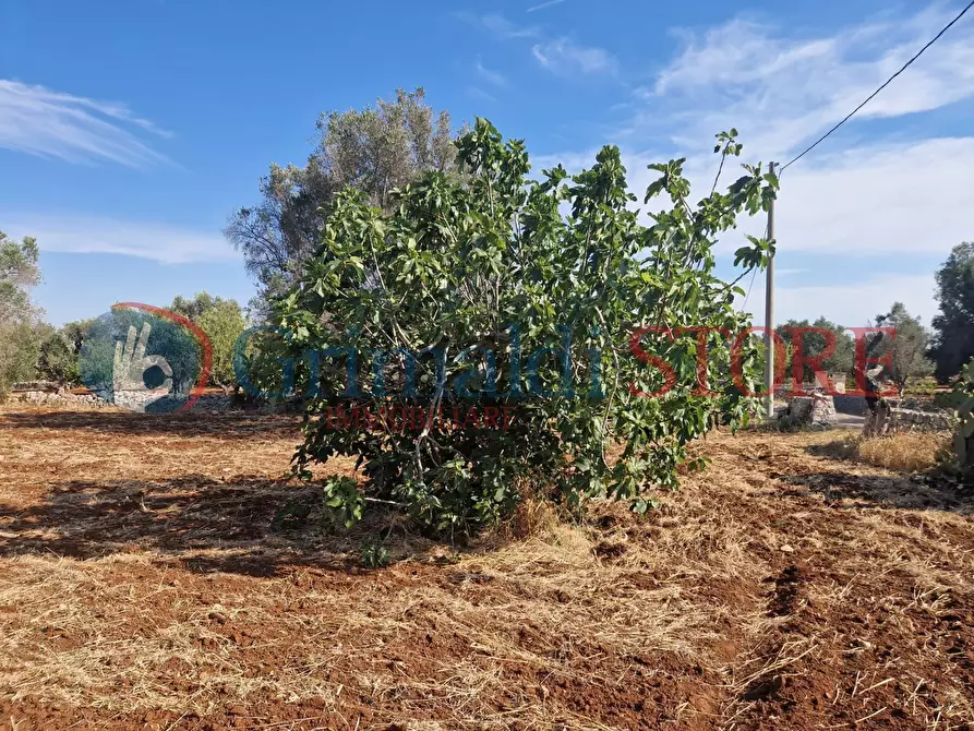 Immagine 16 di Terreno agricolo in vendita  a Latiano