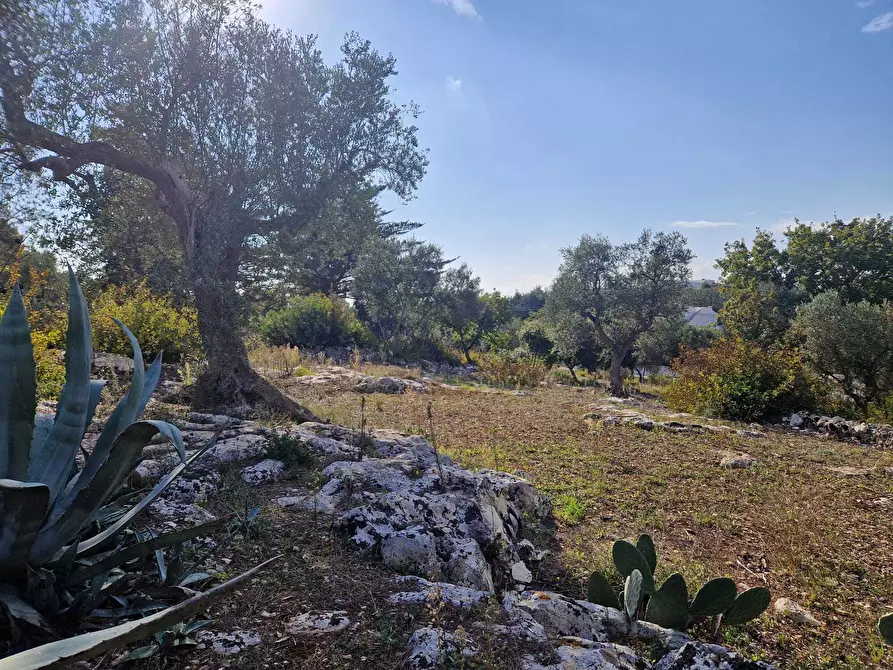 Immagine 14 di Casa indipendente in vendita  a Ostuni