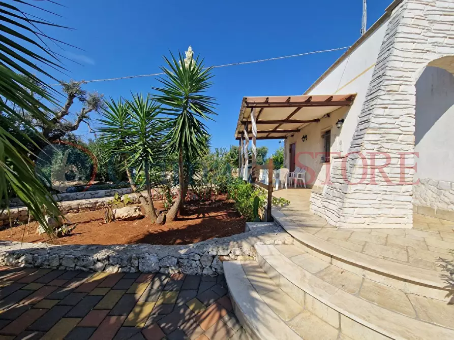 Immagine 35 di Villa in vendita  a San Vito Dei Normanni