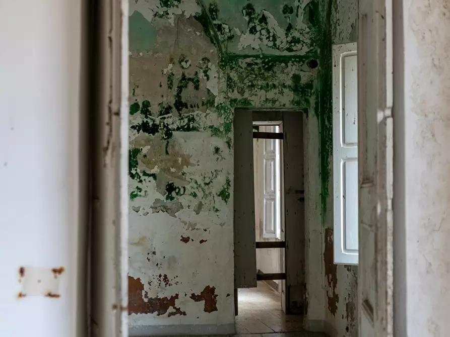 Immagine 58 di Casa indipendente in vendita  in Via Vittorio Emanuele II 14 a San Cesario Di Lecce