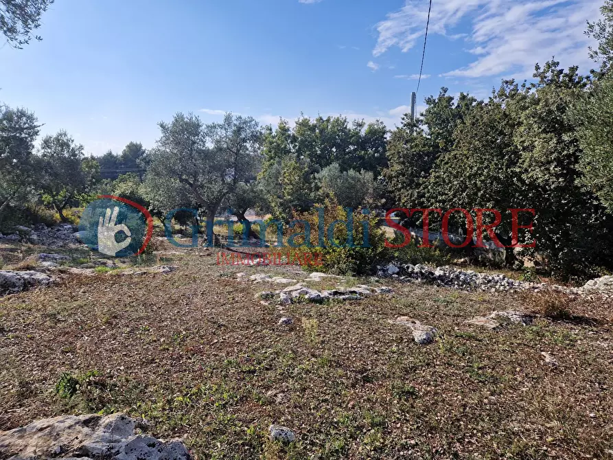 Immagine 9 di Casa indipendente in vendita  a Ostuni