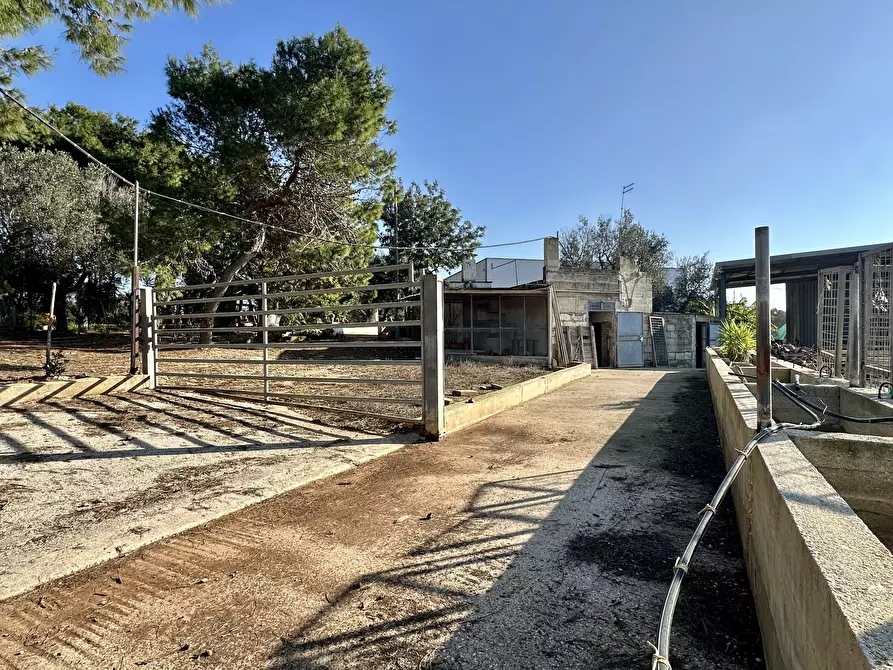 Immagine 32 di Villa in vendita  in Contrada Pezza d' Acqua Fresca 27 a San Vito Dei Normanni