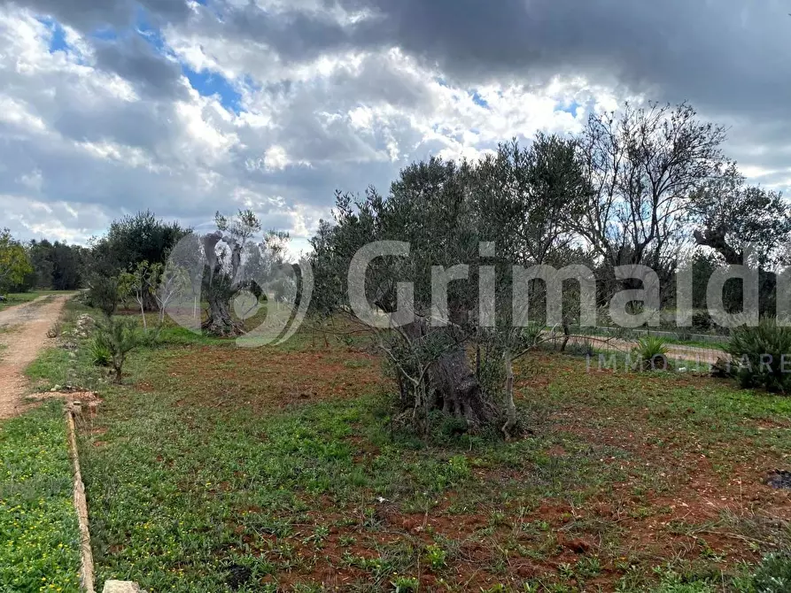 Immagine 4 di Terreno edificabile in vendita  in Santa Teresa a Sannicola
