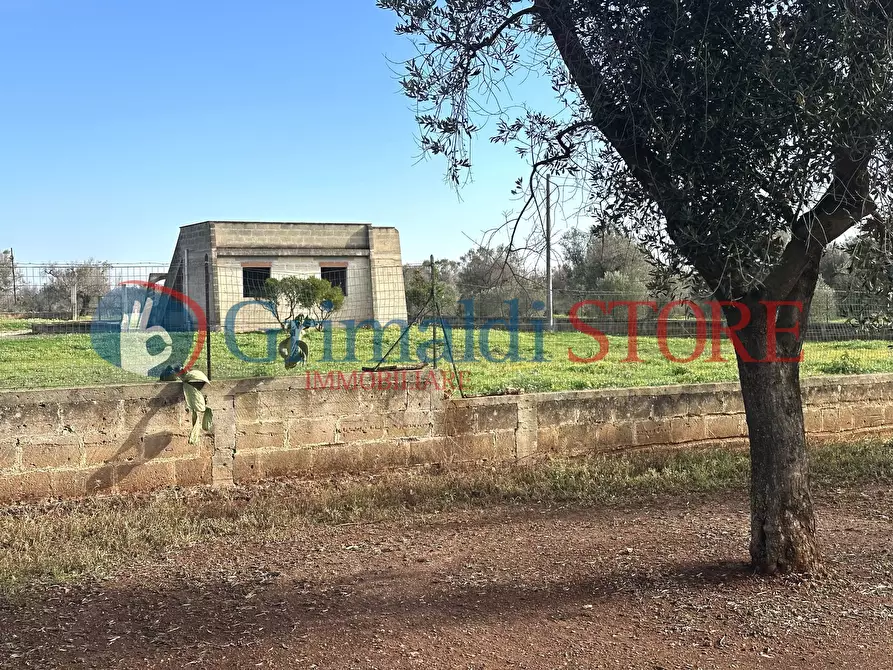 Immagine 8 di Rustico / casale in vendita  a San Vito Dei Normanni