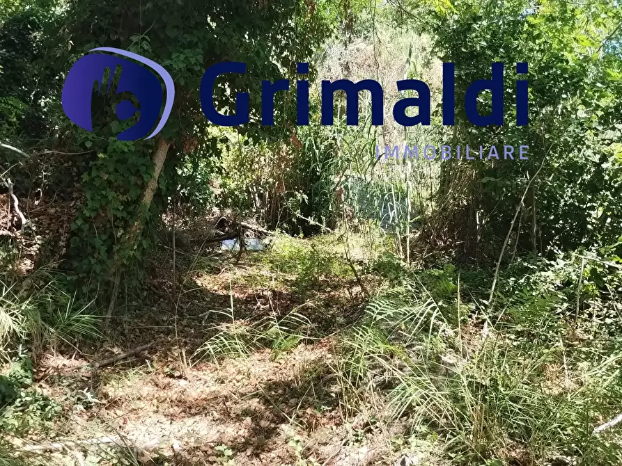 Immagine 15 di Terreno agricolo in vendita  in Corsa Regina Elena SNC a Barano D'ischia