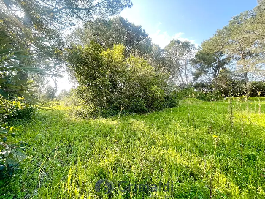 Immagine 65 di Villa in vendita  in strada provinciale 39 a Maglie