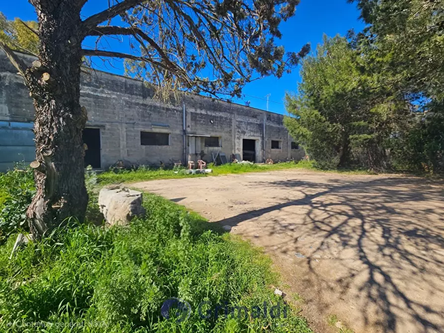 Immagine 17 di Magazzino in vendita  in Via Solano Li Belli 47 a Lequile