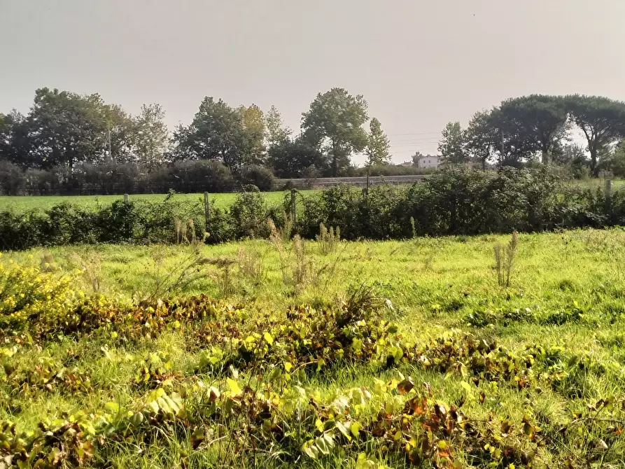 Immagine 10 di Terreno agricolo in vendita  in Via Lago di Sirino a Nettuno