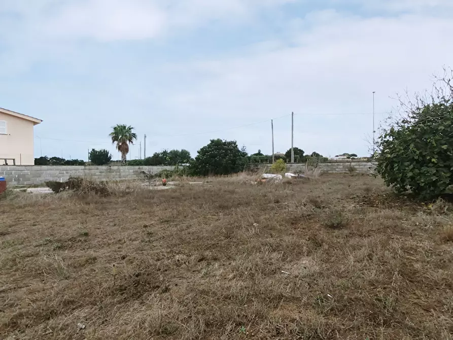 Immagine 3 di Terreno agricolo in vendita  in Via della Campana a Anzio
